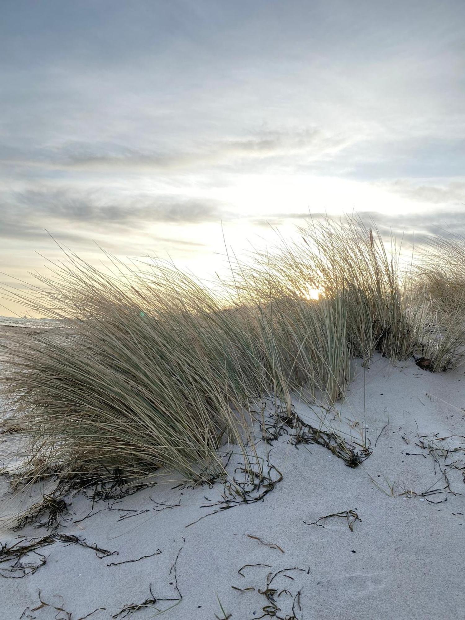Meehrblick App 215 Apartment Zingst Bagian luar foto